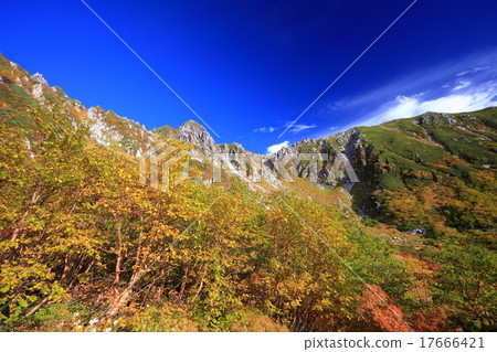 Senjojiki Autumn leaves 17666421
