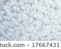 雲秤 17667431