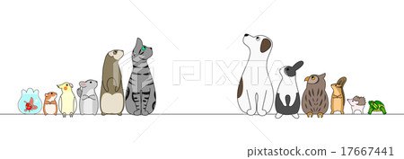 Pet side view type Pet side view type 17667441