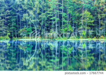 Oga pond in early autumn 17667744