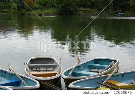 boat  17668676