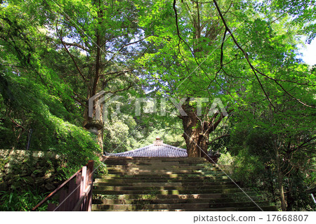 Fudoji Fudoji 17668807