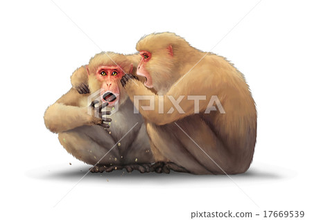 Monkeys to tell a secret 17669539