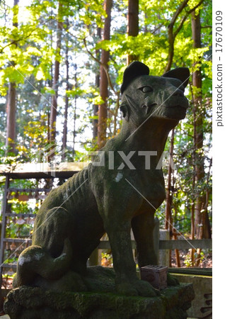 在Hodogayama神社(埼玉縣秩父郡長見町)的Okumiya的“Yamaizu(Kodo-dog)”的雕像 在Hodogayama神社(埼玉縣秩父郡長見町)的Okumiya的“Yamaizu(Kodo-dog)”的雕像 17670109