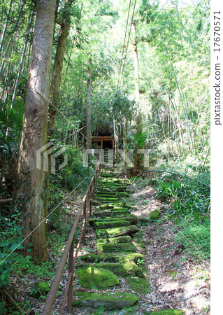 孔井觀音 17670571