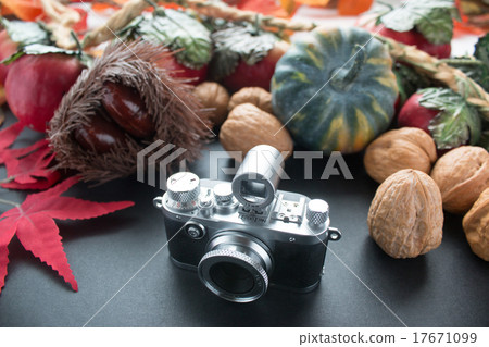 Autumn image travel image camera harvest 17671099