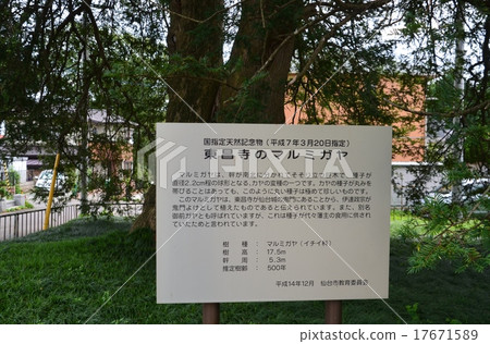 Tochoji寺的Marmigaya Tochoji寺的Marmigaya 17671589
