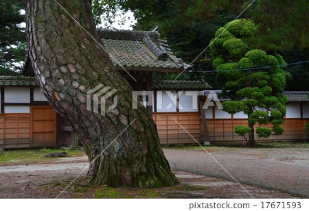 Akamatsu of Tochoji Temple 17671593