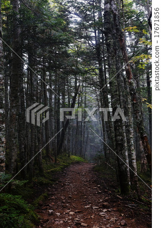 導致Yakushi-dake的山行跡 導致Yakushi-dake的山行跡 17671856