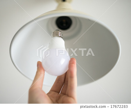 電燈泡 17672283