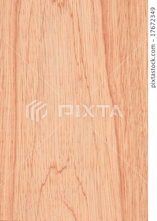wood texture background 17672349