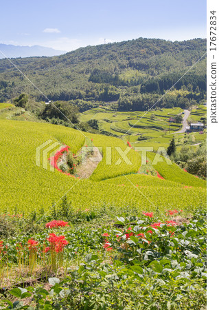 別府市內米梯和Higanbana 17672834