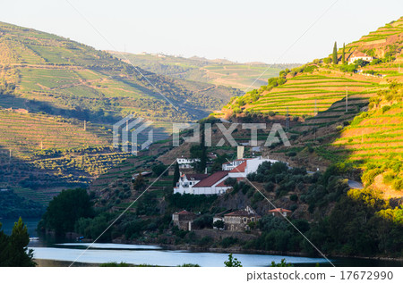 river Douro valley, Portugal 17672990