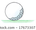 Golf ball  17673307