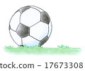 soccer ball    17673308