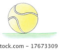 Tennis ball 17673309