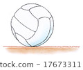 volleyball 17673311