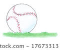 Baseball Ball 17673313