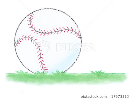 Baseball Ball 17673313