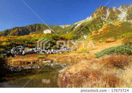 Central alpine Senjyojiki curl from autumn leaves from Kendo Pond Central alpine Senjyojiki curl from autumn leaves from Kendo Pond 17673724