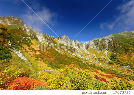 Central alps of autumn leaves Senjyojiki curl 17673725