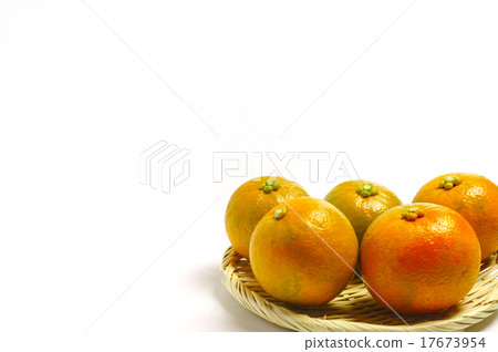 Vegetable Orange Dai Dai Ponzu Vegetable Orange Dai Dai Ponzu 17673954