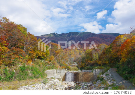 Koyamazan of autumn leaves Koyamazan of autumn leaves 17674052