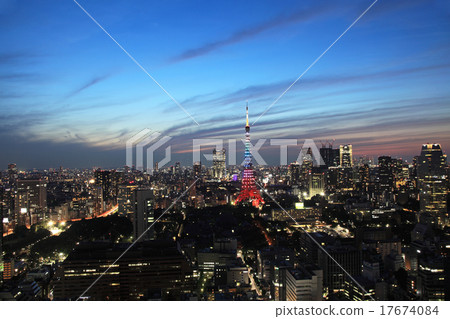 鑽石面紗 17674084