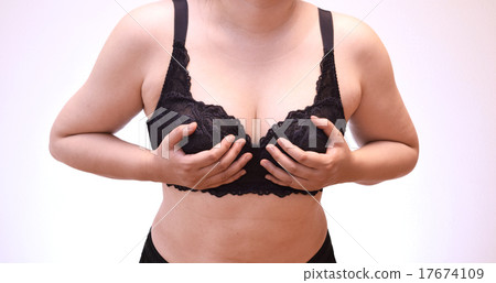 肥胖婦女的形象 17674109