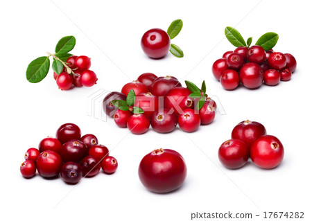 Cranberry,foxberry (lingonberry) isolated set 17674282