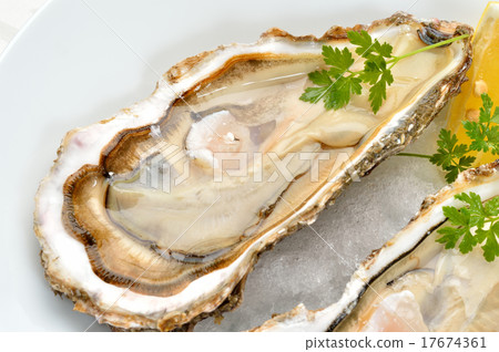 Fresh oysters for raw eating (oysters / oysters), Oyster bar image. Fresh oysters for raw eating (oysters / oysters), Oyster bar image. 17674361