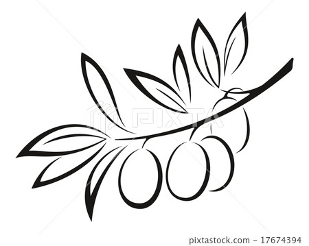 Olive Branch with Berries Black Icon - Stock Illustration [17674394 ...