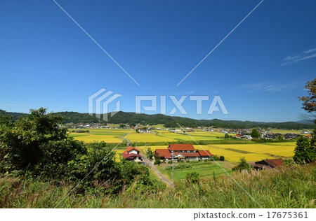 秋天的鄉村景觀(Shobara市,廣島縣) 秋天的鄉村景觀(Shobara市,廣島縣) 17675361