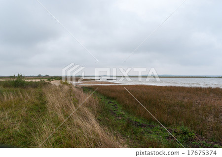 Old wooden boats ashore 17675374