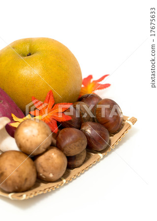 各種各樣的秋天的味道 17675633