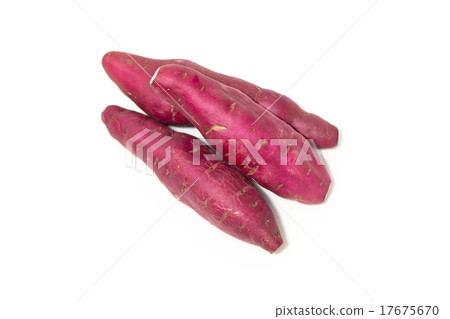 Sweet potato 17675670
