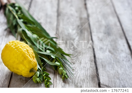 Symbols of Sukkot 17677241