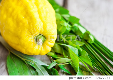 Symbols of Sukkot 17677245