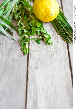 Symbols of Sukkot 17677248