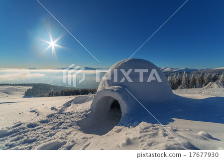igloo 17677930