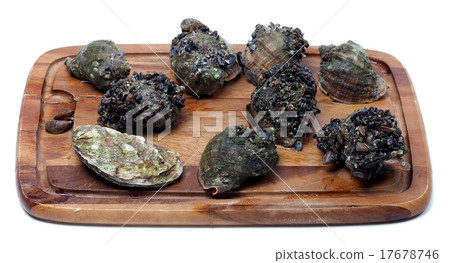 Veined rapa whelk and oyster on kitchen board 17678746