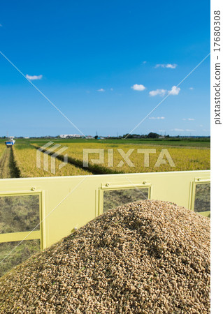 Harvest (rice) 3 "Mangetsu mochi" 3 17680308