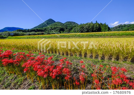 Higisaka和Togashiyama 17680976