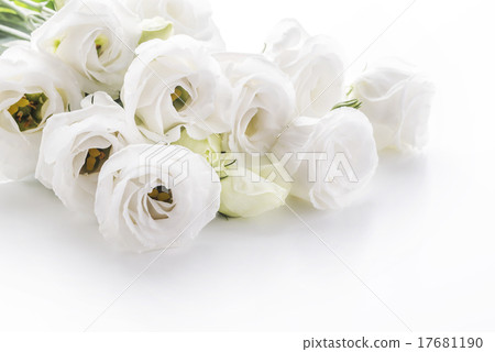 由翻譯提供支持 17681190