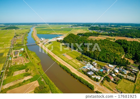 Aerial photograph of rural scenery where rice harvesting reached quiet autumn Aerial photograph of rural scenery where rice harvesting reached quiet autumn 17681925