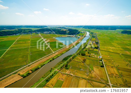 Aerial photograph of rural scenery where rice harvesting reached quiet autumn Aerial photograph of rural scenery where rice harvesting reached quiet autumn 17681957