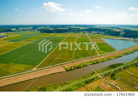 農村風景的航拍照片米收穫到達了安靜的秋天 農村風景的航拍照片米收穫到達了安靜的秋天 17681960
