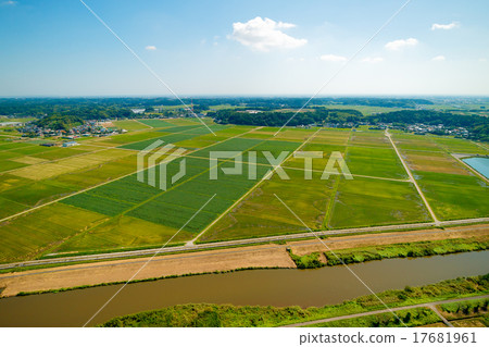 Aerial photograph of rural scenery where rice harvesting reached quiet autumn 17681961