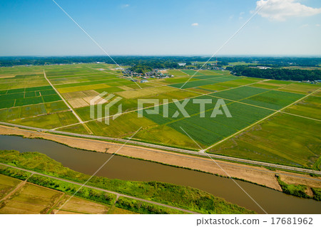 Aerial photograph of rural scenery where rice harvesting reached quiet autumn 17681962