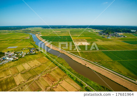 農村風景的航拍照片米收穫到達了安靜的秋天 17681964